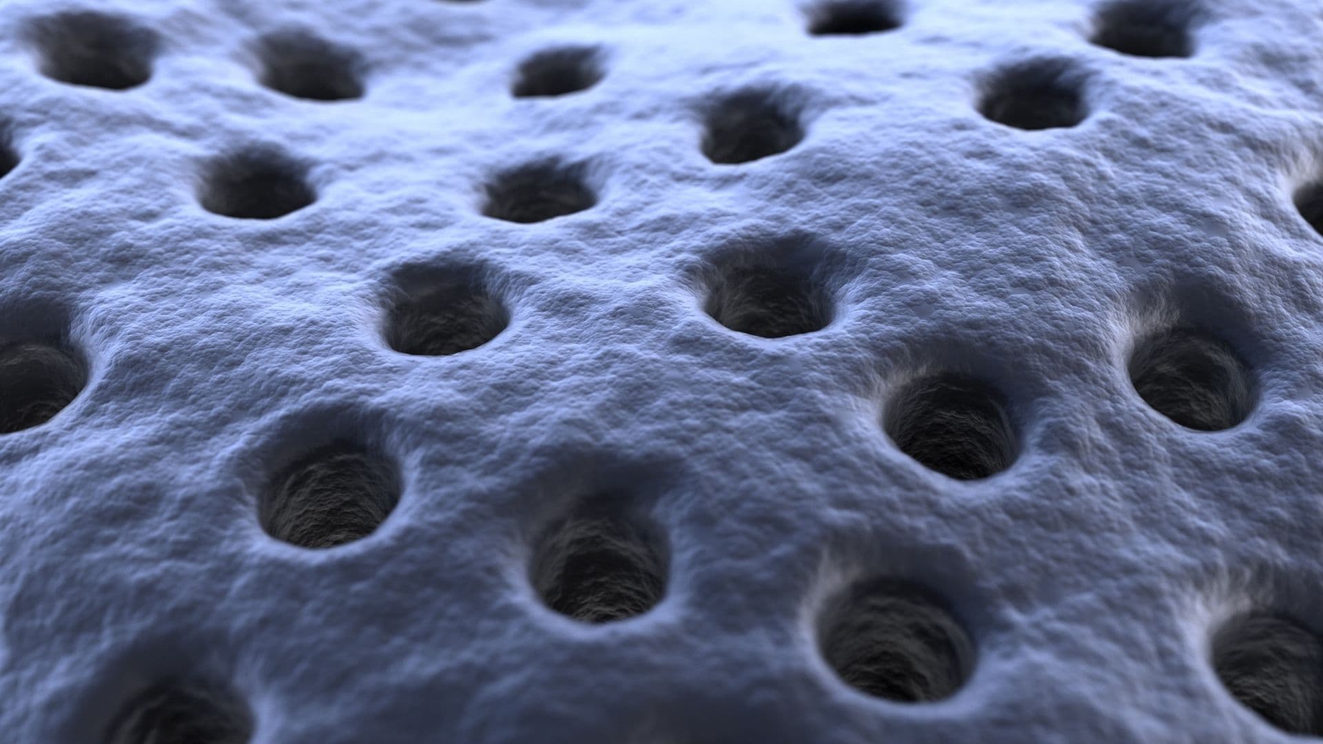 Close-up of a porous membrane surface.